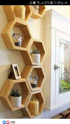 the honeycomb shelves are made from wood hexagonals and have plants in them