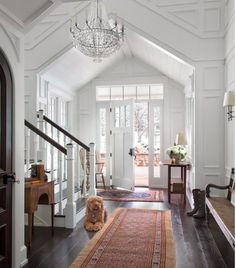 a dog is sitting on the floor in front of a door and chandelier