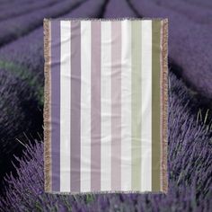 a lavender field with rows of lavender flowers and a striped blanket hanging from the side