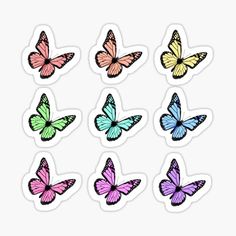 six different colored butterflies sticker