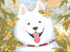 a white dog with a flower on its head and tongue hanging out to the side