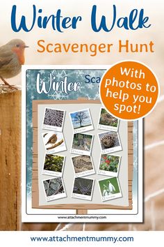 the winter walk scavenger hunt with photos to help you spot birds and snowflakes