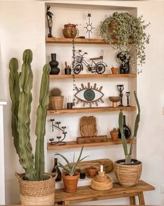 some plants and pots are on shelves in a room that is decorated with white walls