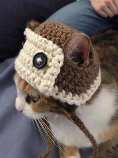 a cat is wearing a crocheted hat with buttons on it's head