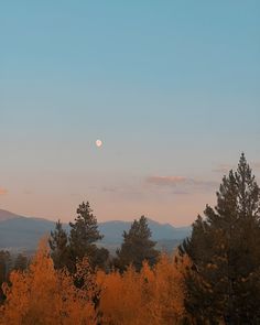 the moon is setting in the sky over some trees