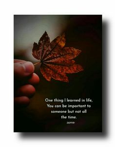 someone holding a leaf with the words one thing i learned in life you can be important to someone but not all the time