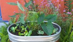 a metal container filled with lots of plants