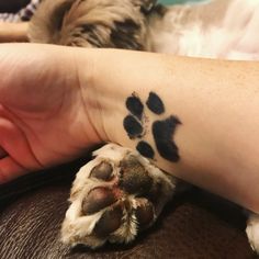 a person with a paw tattoo on their arm and cat laying next to them in the background