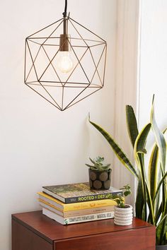 a table topped with books next to a plant