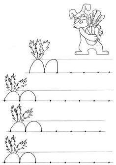 the letter b worksheet for children to learn how to draw flowers and plants