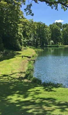 a lake surrounded by lush green grass and trees