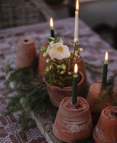 candles are placed in clay pots with flowers