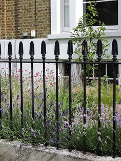 a black iron fence with flowers growing between it and a building in the back ground