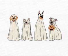 three dogs in ghost costumes with pumpkins on their heads