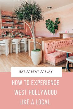 the inside of a restaurant with pink walls and wooden floors, palm tree in center