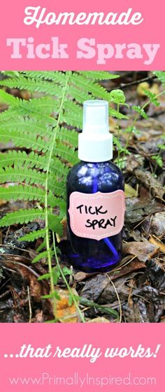 Homemade Tick Spray - a natural tick repellent that has kept me and my dog tick free for the past 3 years! Natural Tick Repellent, Handy Gadgets, Tick Spray, Rose Geranium Essential Oil, Tick Repellent, Natural Repellent, Dogs Grooming, Food Dog, Bug Repellent