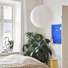 a bedroom with a bed, potted plant and window