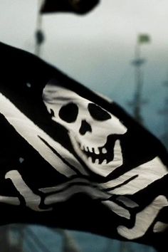 a pirate flag with a skull and crossbones on it