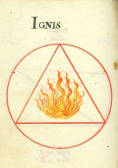 a book with an image of a fire in the center and text that reads ignis