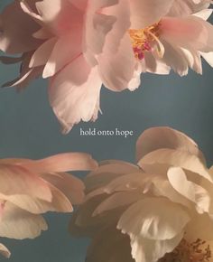 pink and white flowers with the words hold onto hope written below them on a blue background