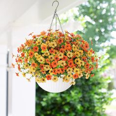 a hanging basket filled with orange and yellow flowers on a porch next to a house