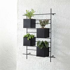 a black metal shelf with four planters and two plants on it's sides