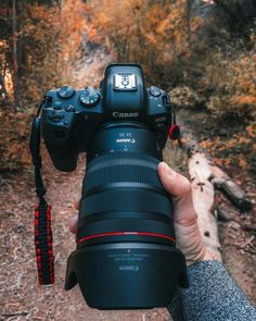 a person holding up a camera in the woods