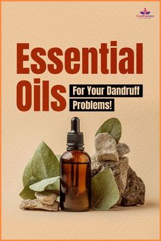 Tea Tree Oil For Dandruff, Essential Oils For Dandruff, Hair Oil For Dandruff, Homemade Hair Oil, Oils For Dandruff, Anti Dandruff Shampoo, Homemade Hair Products, Diy Remedies, Itchy Scalp