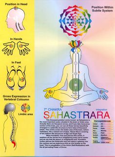 The Crown Chakra  aka 7th chakra. Svadhisthana Chakra, Sahasrara Chakra, Aquarius Signs, Yoga Positionen, Sahaja Yoga Meditation, Chakra Chart, 2nd Chakra, Chakra System