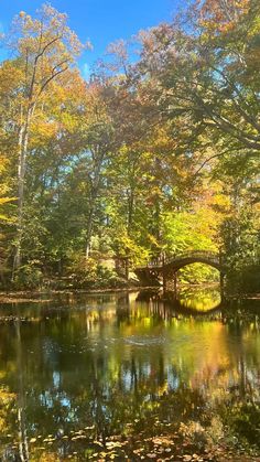 a river surrounded by lots of trees in the fall with leaves on the water and a bridge over it