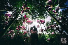 two people standing in the middle of flowers