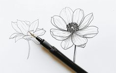 a drawing of a flower with a pen in it's left hand and another one on the other side