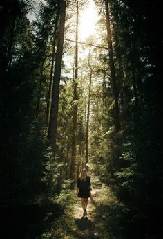 a woman walking down a path in the woods with text that reads 19 places you need to visit in 2019