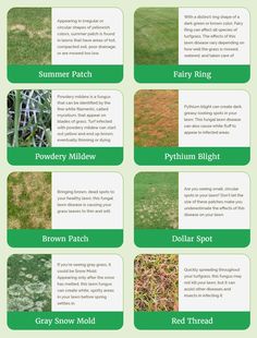 the different types of lawn mowings and how to use them in your yard