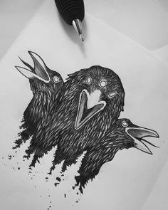 two black birds with beaks on top of paper next to a pen and ink drawing