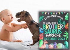 a baby playing with a toy dinosaur on a bed next to a book titled i'm going to be a big brother saurus hatching october 2013