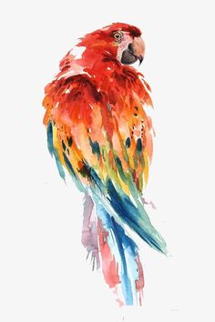 a watercolor painting of a colorful parrot perched on a branch