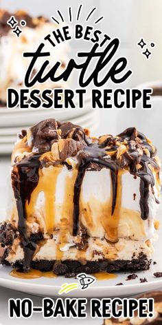 the best turtle dessert recipe no - bake cheesecake