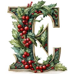 the letter d decorated with holly and red berries is shown in this hand drawn illustration