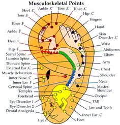 Acupressure Chart, Acupuncture Charts, Point Acupuncture, Acupuncture Points, Acupressure Points