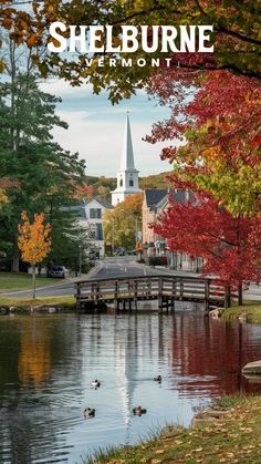 the cover of shelburnne vermont magazine with ducks swimming in water and autumn trees