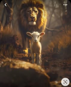 a sheep and lion in the middle of a forest