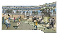 people are looking at some elephants in an animal enclosure with glass walls and ceilinging