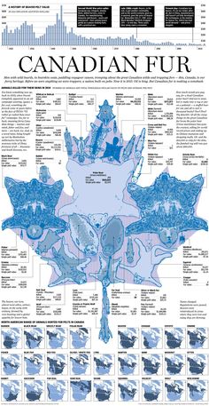 the canadian map is shown in blue and has many different types of ice crystals on it