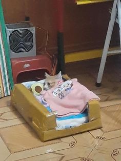 a cat laying in a toy bed on the floor