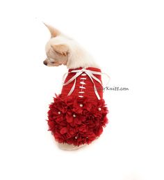 a small dog wearing a red and white football outfit with flowers on it's chest