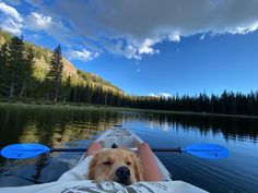 a dog is laying on the back of a kayak with it's owner