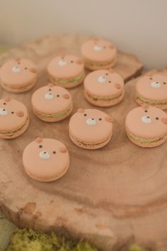 there are many small cookies shaped like animals