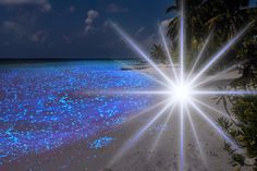 the sun shines brightly in front of an ocean scene with palm trees and blue water