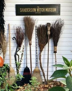 a bunch of brooms are lined up against the wall in front of a building